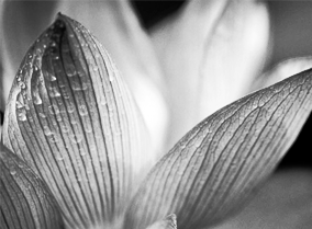 秋思电话轰炸平台