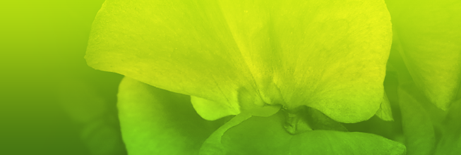 令人振奋的在线短信网页版免费版